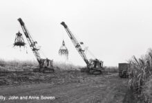 Inaugural Hāmākua festival celebrates history, legacy of sugar era on Big Island : Big Island Now