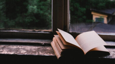 Discovering the Women Authors Behind Hitchcock’s Movies ‹ CrimeReads