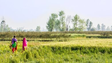 Smriti Ravindra on exploring the Madhesi identity in the literary imagination of Nepal