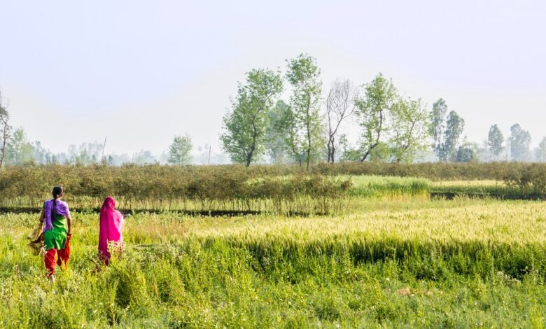Smriti Ravindra on exploring the Madhesi identity in the literary imagination of Nepal Smriti Ravindra on exploring the Madhesi identity in the literary imagination of Nepal