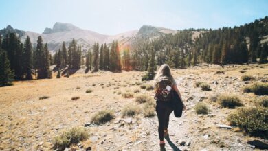14 Books About Nature by Women Writers