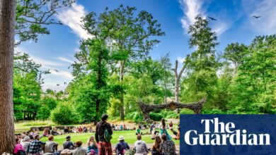 ‘Beautiful locations to learn in’: readers’ favourite creative breaks | Learning holidays