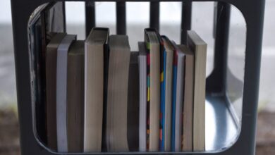 Top books to read this summer, according to Ann Patchett and Maureen Corrigan Top books to read this summer, according to Ann Patchett and Maureen Corrigan